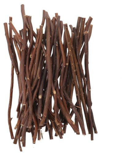 FUNOMOCYA 50 Stück Natürliche Trockene Zweige Stöcke Zum Basteln DIY-bastelzubehör Bastelstöcke Vasenfüllerzweige Künstlicher Zweigbaum Künstliche Äste Und Zweige Protokoll Holz