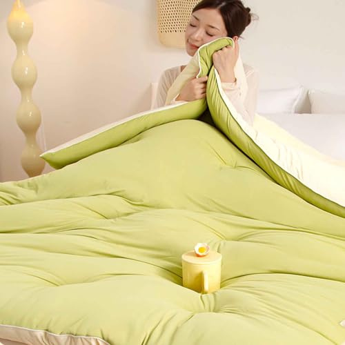 HLTQL Trapunta Invernale in Fibra di Soia, Piumone Invernale Spesso, Coperta Molto Calda E Super Morbida per 2 Persone, Trapunta in Microfibra, Piumone Trapuntato Reversibile(A,200 * 230cm/4.25kg)