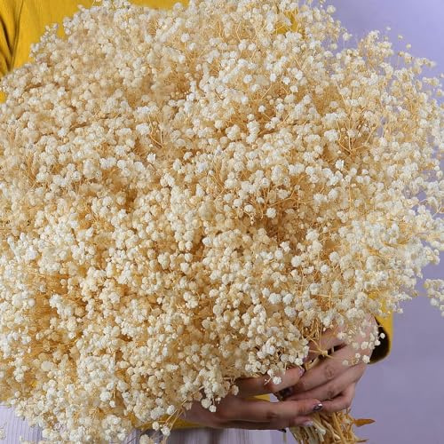 Oning 6500+ Large Dried Babys Breath Flowers Bouquet - Upgraded Package Bulk Cream White Baby Breath(7.05 oz), Natural Gypsophila Flowers Branches for Wedding, Floral Arrangement, Vase Decor