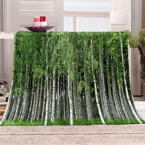 Weiße Birke Kuscheldecke Flauschig 220x240cm 3D Wald Fleecedecke Weich Sofadecke Warm Bettdecke Decken Wohndecke Tagesdecke Sofaüberwurf Decke Couchdecke Bettüberwurf E1850