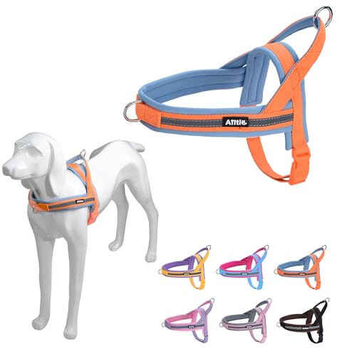 AIITLE No Pull Hundegeschirr mit weich gepolstertem Griff, Reflektorstreifen, ausbruchsicher und Schnellverschluss zum Anpassen von Geschirren für Welpen oder sehr kleine Hunde, Orange-Blau, XXS