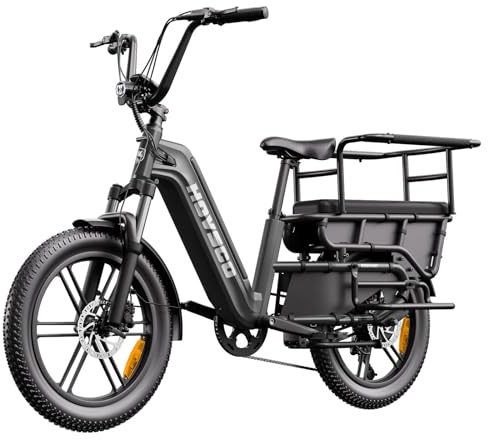 HOVSCO E Bike Lastenrad für Damen & Herren Elektrofahrrad 20x3.0 Fat | App-Steuerung & Federung, 48V 15AH Akku, 250W Motor, 204kg Zuladung, 55km Reichweite