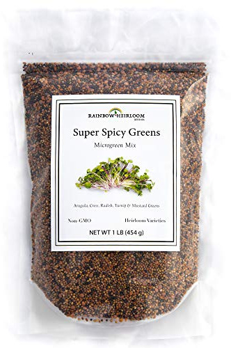 Super Spicy Greens Microgreen Seed Mix | Seeds for Planting | Contains Garden Cress Seeds, Radish, Mustard, Turnip & Arugula Microgreen Seeds | Non GMO Heirloom Seeds | 1 LB | Rainbow Heirloom Seed Co