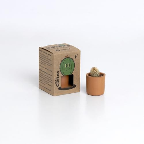 Baby Cactus – Kit de Cultivo de Cactus con Maceta de Barro Artesanal | Fácil de Cuidar | Regalo Original y Decorativo | Resetea