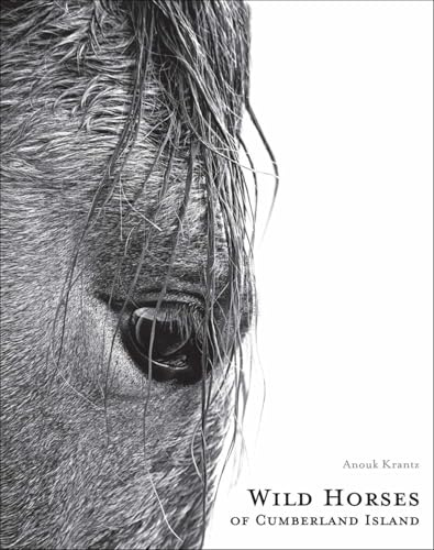 Wild Horses of Cumberland Island (Anouk Masson Krantz)