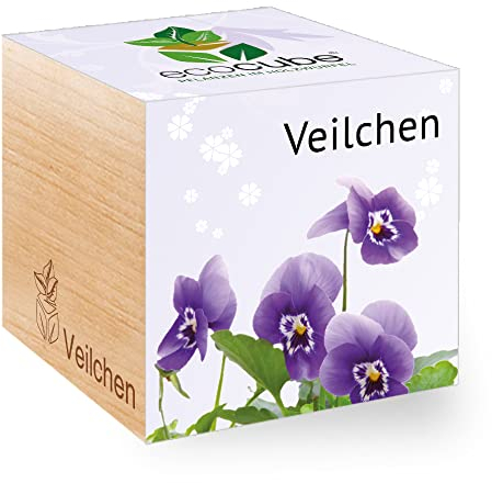 Feel Green - WE CREATE NATURE Feel Green Ecocube Veilchen, Nachhaltige Geschenkidee (100% Eco Friendly), Grow Your Own/Anzuchtset, Pflanzen Im Holzwürfel, Made in Austria