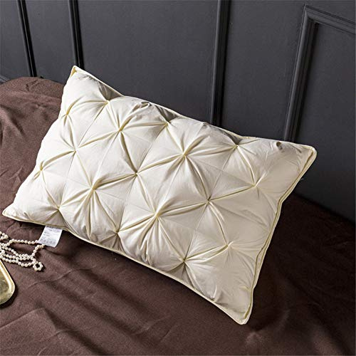 Set di cuscini in piuma d'oca di alta qualità, 100% piuma d'oca bianca, ultra morbidi e confortevoli, 48 x 74 cm, beige, confezione da 2 per una migliore esperienza di sonno