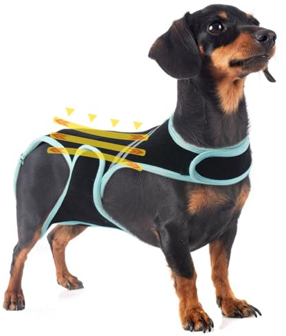 Hundstöd för hundar artrit, ryggstöd ryggbandage tax Corgis IVDD, ryggskydd hjälper smärtlindring, kirurgisk återhämtning och rehabilitering, ryggsjukdomar (S)