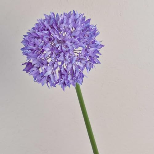 artplants.de Fleur, Lilas, 70cm | en Tissu Allium Lisbeth - Faux Allium - Fleur synthétique