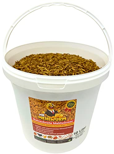 Mr. Mehlwurm 10 Liter getrocknete Mehlwürmer im Eimer (ca. 1,6 kg)- getrocknete Insekten - Top Premium Qualität, GRATIS Versand mit DHL - Futter Snack