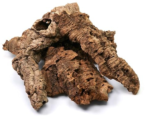 USCAPE Naturkorkstücke für Terrarium & Paludarium | Unbehandelte Korkrinde 5-20cm | Dekoration & Basteln - 250g