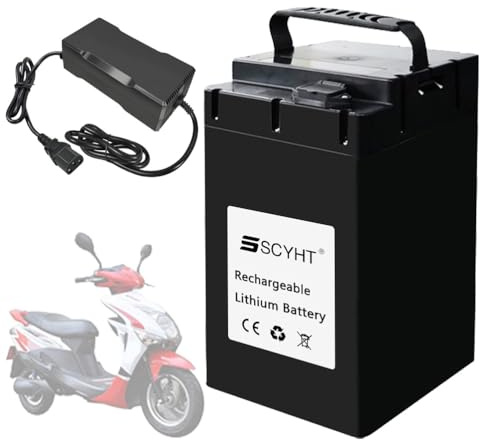 SSCYHT Batería de Repuesto 48 V y 20 Ah Batería de Litio 72 V y 40 Ah Baterías LiFePO4 48 V Baterías Motocicleta con Cargador y asa para Kit Motor 250 W a 2900 W,48v20ah 264mm