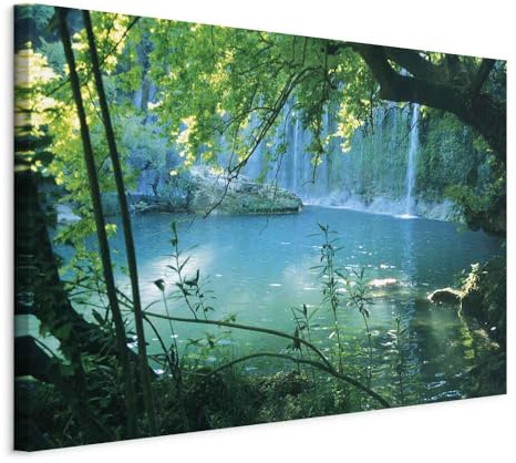 murando - Tableau Acoustique Paysage 120x80 cm 1 Partie - Décoration Murale Anti-Bruit Isolation Phonique Bureau Chambre Panneau Insonorisant Impression sur Toile - Jungle naturelle c-B-0544-b-a