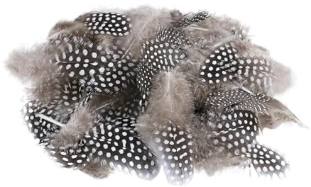50 Stück Natürliche Federn Deko Federn Ostern, Federn zum Basteln, Perlhuhnfedern Wachteleier Deko, Braun Federn Basteln Weich Feather, Naturfedern Hühnerfeder Kopfschmucksfedern für DIY Kunstwerk
