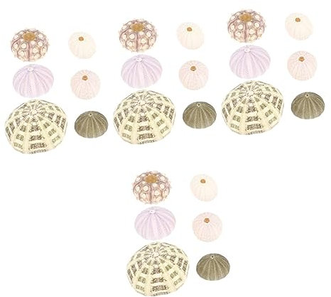Yardwe 24 STK Muschel Muschel Mini-Blumentopf mit Seeigelschale Stofftierfüllung aquaristik zubehör Meeresdekoration meerestiere bastelset Aquariumlandschaft Seeigel Aquariumdekorationen