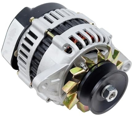 Hivernoi Generador alternador Generador de cobre puro sin escobillas imán permanente 2000W 12 V 24 para CA(12V,Double head)