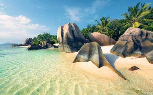 Sanders & Sanders fotomural playa verde y azul 450 x 280 cm