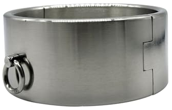 ZTHBYSB Stahl Sex Halsbänder, Slave Bondage Fesseln Kragen Metall Halsband O-Ring Fetisch Halskette/Halsreif Restraint Spiel Sex Spielzeug für Männer Frauen Paare,Silber,Ø 13cm