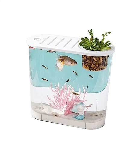 Aquarium, kleines Mikro-Landschafts-Fischglas mit Deckel, für Wasserpflanzen, ovales Design, umweltfreundlich
