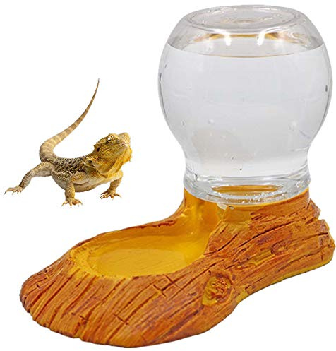 MUALROUS Botella de agua para reptiles, dispensador de agua para hámster, cuenco de agua para alimentación automática de tortugas, plato de comida para reptiles, anfibios, tortugas y lagartos
