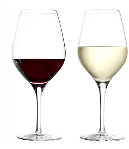 Stölzle Lausitz – Juego de 12 piezas de cristal, diseño de cabaña de martillo, con 6 copas de vino tinto y 6 copas de vino blanco, juego de 12 piezas, apto para lavavajillas, irrompible, cristal de