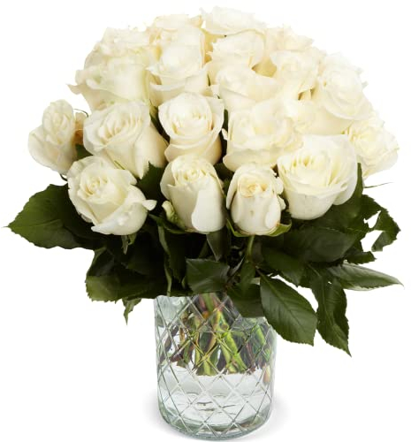 Rosenstrauß: 40 Weiße Rosen, Frische Floristen Qualität, 40-50cm Durchmesser, Blumenversand