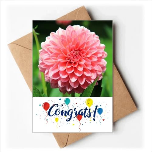 Pfirsichblüte Schöne Blumen Hochzeitskarten Glückwunsch Gruß Umschläge