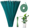 mizikuu 50 Piezas Soportes para Plantas, 38cm Varillas Tutores para Plantas Bamboo Stick con 30 Yardas de Cinta de Papel de Flor y 50 Correas de Plantas Palos de Madera Verdes