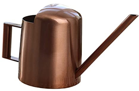 COOPHYA Arrosoir Acier Inoxydable avec Bec Long pour Arrosage Précis pour Plantes De Bureau Et Jardinières