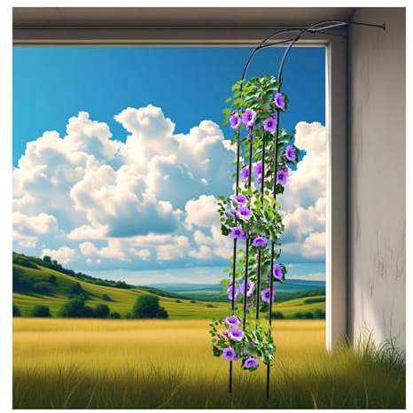 Draußen Torbogen Rankhilfe,Kompakt Halber Gartenbogen Für Kletterpflanzen,Rosenbogen Gegen Die Wand, Rosen Spalier Aus Metall, Halbbogen Rankbogen Für Toreingänge,Innenhof, Schwarz(HxBxT: 240 x 240 x