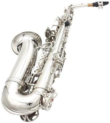 Saxophone für Anfänger Es Altsaxophon für Anfänger und Erwachsene