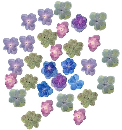 PRETYZOOM 30 Piezas Flores Secas Prensadas de Hortensia Doble, Flores Secas Reales, Material Floral Hecho a Mano, Color Natural, para Manualidades DIY y Envoltorios