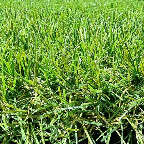 Gazon Synthétique 40mm en 2m de large (2m de large x 13m de long)