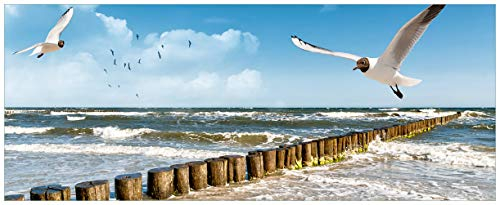 Wallario Glasbild Fliegende Möwe am Strand - 32 x 80 cm Wandbilder Glas in Premium-Qualität: Brillante Farben, freischwebende Optik