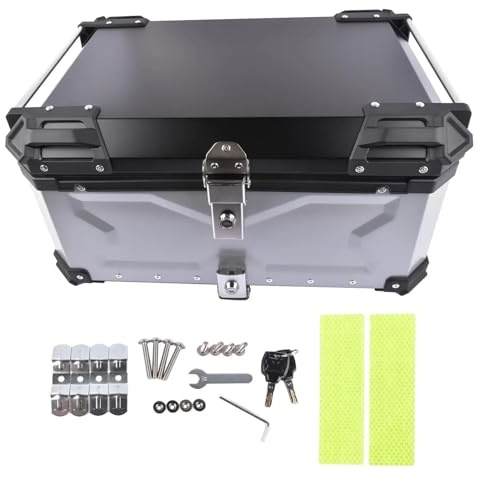 RVIFY Caja de Cola Motocicleta Baúl Superior de Aluminio AP03 65L para Motocicleta, Impermeable, con Cerradura de Seguridad para Equipaje (Plateado) Baúl de Moto