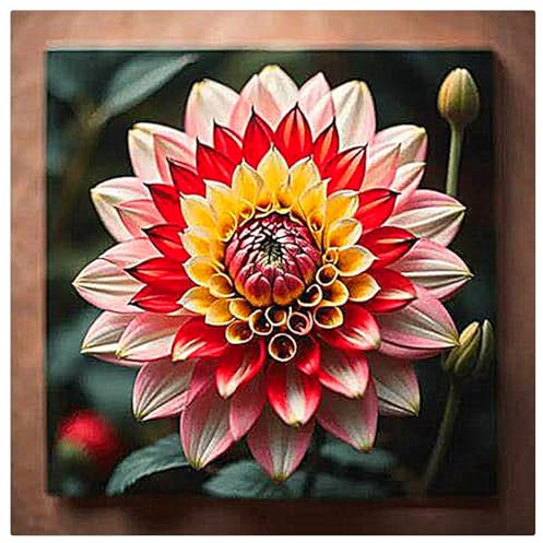 Dahlia Bulbs UK,Dahlia Plants for Garden,Excellent Display,Potted-Plants-Rhizome-4bulbs-A