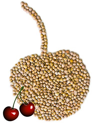 Kirschkerne - 2kg - Kerne für Körnerkissen Wärmekissen Kirschkernkissen