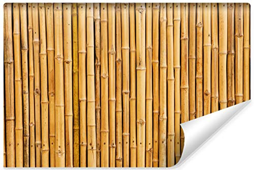 Muralo Non-Woven Photo Wallpaper 208 x 146 cm Natural Bamboo Tropical Wallpaper Exotic Flora Sprouts Leaves Living Room Bedroom Wall Picture XXL Wall Width 208 cm x Height 146 cm