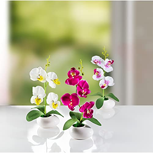 Dekoleidenschaft 3 Orchideen im Keramik-Topf, weiß/pink, 28 cm hoch, Kunstpflanze, Zierpflanze, Büropflanze, Kunstblumen, Deko-Pflanzen