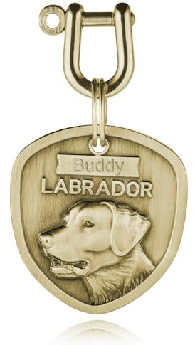 INBLUE Individuelle Hundemarken für Haustiere Hund Namen Marken Gravur für Haustiere Anti-Verlust Hund ID/Name Tag Messing Gravur Hundemarke Geschenk für Tierliebhaber - Labrador