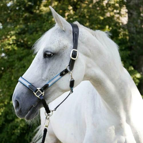 Brama West Pferde Halfter Bellano Covalliero - Leder Halfter in Allen Größen - Blau/Grau - Gr. Pony