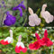 500 piezas semillas de salvia, Semillas de hierbas, semillas. (Salvia officinalis) Semillas de pradera de flores silvestres Semilla perenne Flores silvestres Plantas perennes resistentes