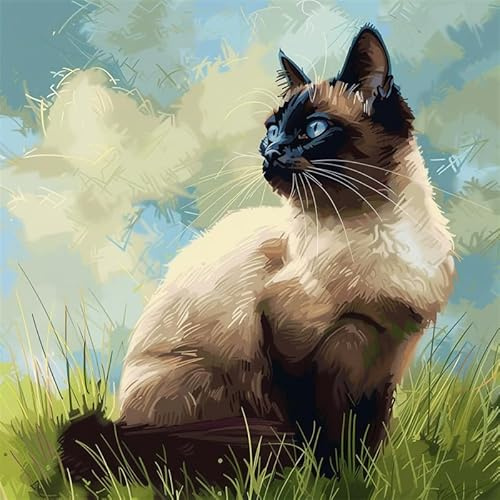 Henypt Knüpfkissen Zum Selber Knüpfen Katze Knüpfen Set Erwachsene Kissen 43X43cm 3D Stickset Kissenbezug Couchkissen Sofakissen Handarbeiten für Wohnzimmer Schlafzimmer
