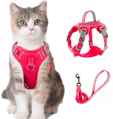 Katzengeschirr und Leine, Set zum Spazierengehen, ausbruchsicher für kleine, große Katzen, Kätzchen, mit Ausweisfach (Rosa, S)