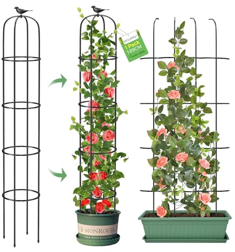 MQUPIN Rankhilfe Garten Obelisk Upgraded Turm Rosen FüR 189cm, Durable U-FöRmige Obelisk Rankturm, Metallkern Himbeeren Rankhilfe Abnehmbar Indoor Outdoor Blume Stand Spalier GemüSe(1 Pack)