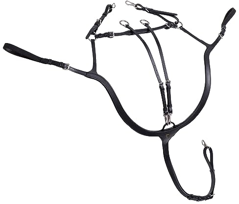 SUNRIDE Vorderzeug Ascot aus Echtleder mit Martingal - für Pferde - als 5-Punkt und 3-Punkt nutzbar (Cob, schwarz)