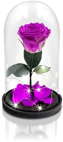 Aluisi Fiori - Rosa Stabilizzata Fucsia - Base in Legno Nero con LED - Rosa Stabilizzata Vera in Campana di Vetro - Fiori Stabilizzati