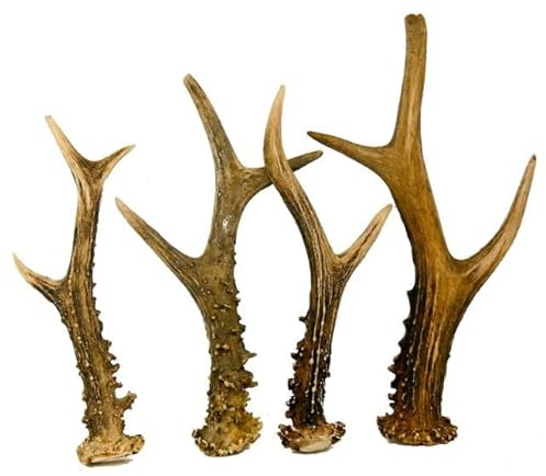 RF-Deer Raíz de Brezo Masticable para Perros Tamaño Natural S – Madera de Masticación para Perros, Juguete Robusto para Cuidado Dental, Reducción de Estrés, Snack para de Inteligencia