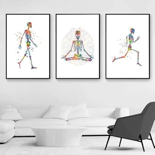 Poster Mit Menschlicher Anatomie, Skelettknochen, Gemälde, Leinwand, Wandkunst, Gemälde, Bild, Arztpraxis, Klinik, Fotos, Physiotherapie, Dekor, 40 X 60 Cm, 3 Stück, Ohne Rahmen