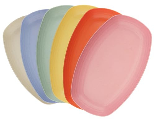 WakiHong Lot de 6 Assiettes en Plastique Réutilisables Assiettes Ovales 6 Couleurs Incassable Assiette de Camping,pour Salade,Pâtes,Fête,Maison,Micro-Ondes et Lave-Vaisselle